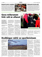 Síða 6