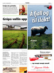 Síða 7