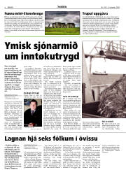 Síða 8