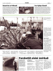 Síða 9
