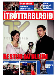 Síða 13