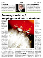 Síða 8