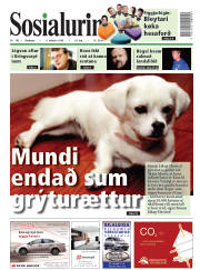 Síða 1
