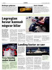 Síða 8