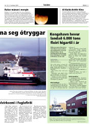 Síða 11