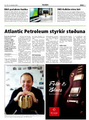 Síða 15