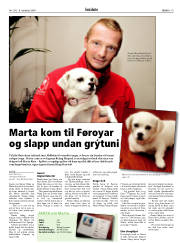 Síða 19