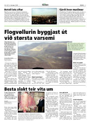 Síða 3