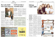 Síða 2