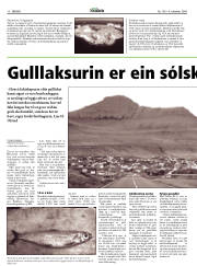 Síða 10