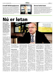 Síða 19