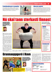 Síða 23