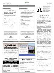 Síða 37