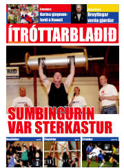 Síða 13