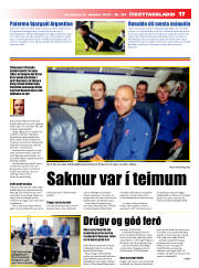 Síða 17
