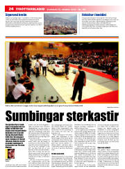 Síða 24