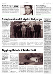 Síða 32