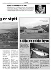 Síða 11