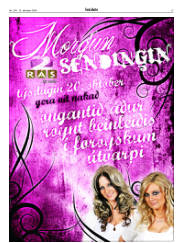 Síða 15