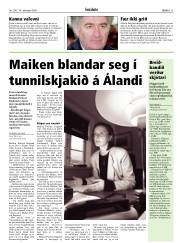 Síða 11
