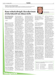 Síða 13