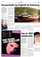 Síða 2
