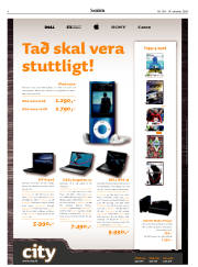 Síða 4