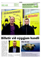 Síða 20