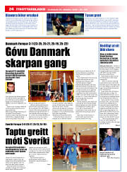 Síða 24