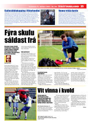 Síða 25