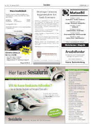 Síða 29
