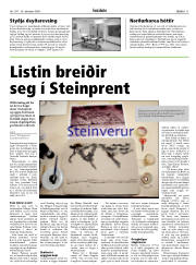 Síða 11