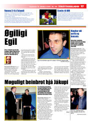 Síða 17