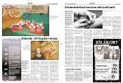 Síða 3