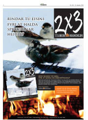 Síða 4