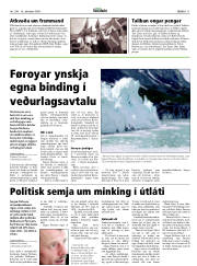 Síða 11