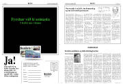 Síða 6