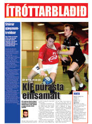 Síða 22