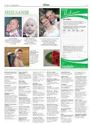 Síða 33