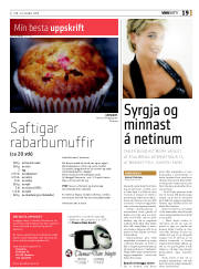 Síða 19