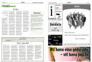 Síða 13