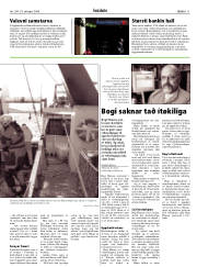 Síða 11