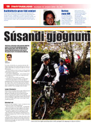 Síða 18