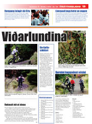 Síða 19