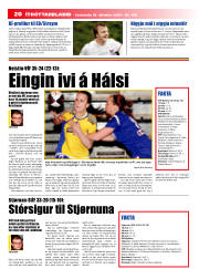 Síða 20
