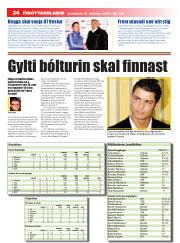 Síða 24