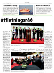 Síða 11
