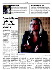 Síða 13