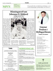 Síða 17