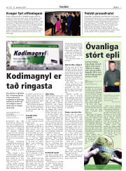 Síða 3